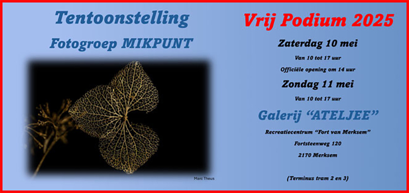 VP25